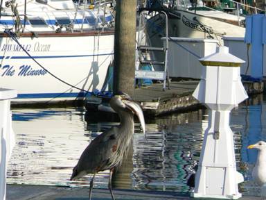 Come on, come on..okayyy...