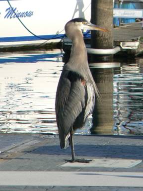 Gulp! Yep - the whole thing!